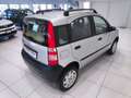 Fiat Panda Panda 1.2 4x4*4x4* Grigio - thumbnail 3