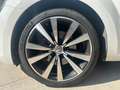 Volkswagen Beetle 2.0 tsi Sport dsg R19!!TETTO!!SERVICE VOLKSWAGEN Blanc - thumbnail 9