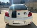 Volkswagen Beetle 2.0 tsi Sport dsg R19!!TETTO!!SERVICE VOLKSWAGEN Blanc - thumbnail 6