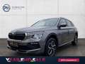 Skoda Kamiq Selection TSI Grau - thumbnail 1