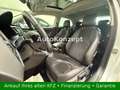 SEAT Leon FR DSG|Automatik|Alcantara|Panorama|BiXenon Alb - thumbnail 9