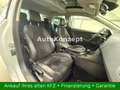 SEAT Leon FR DSG|Automatik|Alcantara|Panorama|BiXenon Alb - thumbnail 11