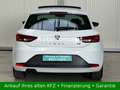 SEAT Leon FR DSG|Automatik|Alcantara|Panorama|BiXenon Alb - thumbnail 6