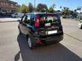Fiat Panda Panda 1.0 Hybrid 70cv Easy Nero - thumbnail 3