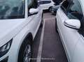 Skoda Kodiaq 2.0 TDI 110KW (150cv) DSG 4x2 Ambition - thumbnail 19