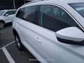 Skoda Kodiaq 2.0 TDI 110KW (150cv) DSG 4x2 Ambition - thumbnail 29