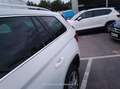 Skoda Kodiaq 2.0 TDI 110KW (150cv) DSG 4x2 Ambition - thumbnail 17