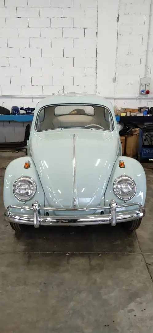 Volkswagen maggiolone Modrá - 2