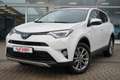 Toyota RAV 4 RAV4 2.5 Hybrid Executive Totwinkel 360° AHK Wit - thumbnail 2