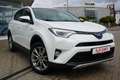 Toyota RAV 4 RAV4 2.5 Hybrid Executive Totwinkel 360° AHK Wit - thumbnail 8