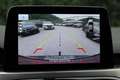 Ford Kuga Hybrid Titanium 2,5 Aut. ACC*AHK*LED*360*1. BESITZ Blau - thumbnail 16