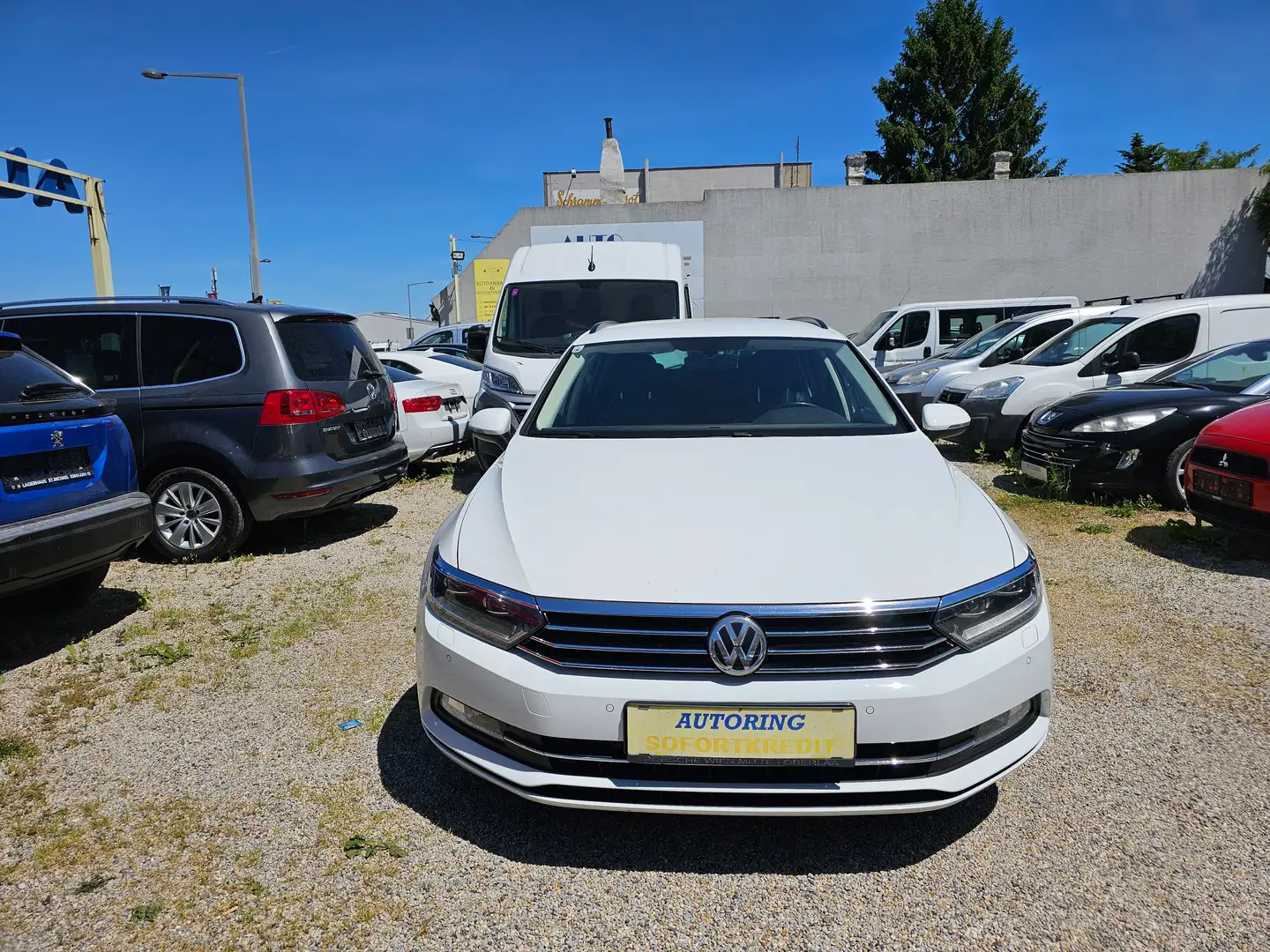 Volkswagen Passat Variant Weiß - 2