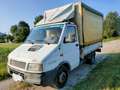 Iveco Daily 35.8 ruote post. gemellate, centinato, aspirato Bianco - thumbnail 1