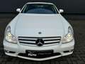 Mercedes-Benz CLS 55 AMG AMG/31dkm!Youngtimer! Unieke topstaat! Alb - thumbnail 13