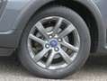 Ford Ka/Ka+ 1.2 Ti-VCT Active Winter Paket SYNC LM-Felgen Gris - thumbnail 3