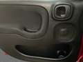 Fiat Panda Cross 1.0 FireFly S&S Hybrid Rosso - thumbnail 12