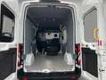 Ford Transit 350 L2H3 Lkw VA Autm. Trend Weiß - thumbnail 5