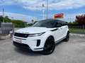 Land Rover Range Rover Evoque Range Rover Evoque 2.0d i4 mhev SE awd 150cv auto Bianco - thumbnail 8