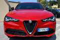 Alfa Romeo Stelvio 2.2 160CV AT8 SUPER RESTYLING MY23 **LED-NAV-PDC* Rosso - thumbnail 14