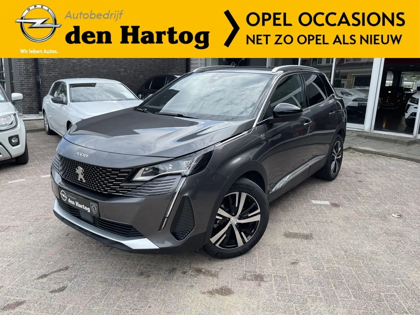 Peugeot 3008 1.2 PureTech GT Camera/Stoelverwarming/Navi. Grau - 1