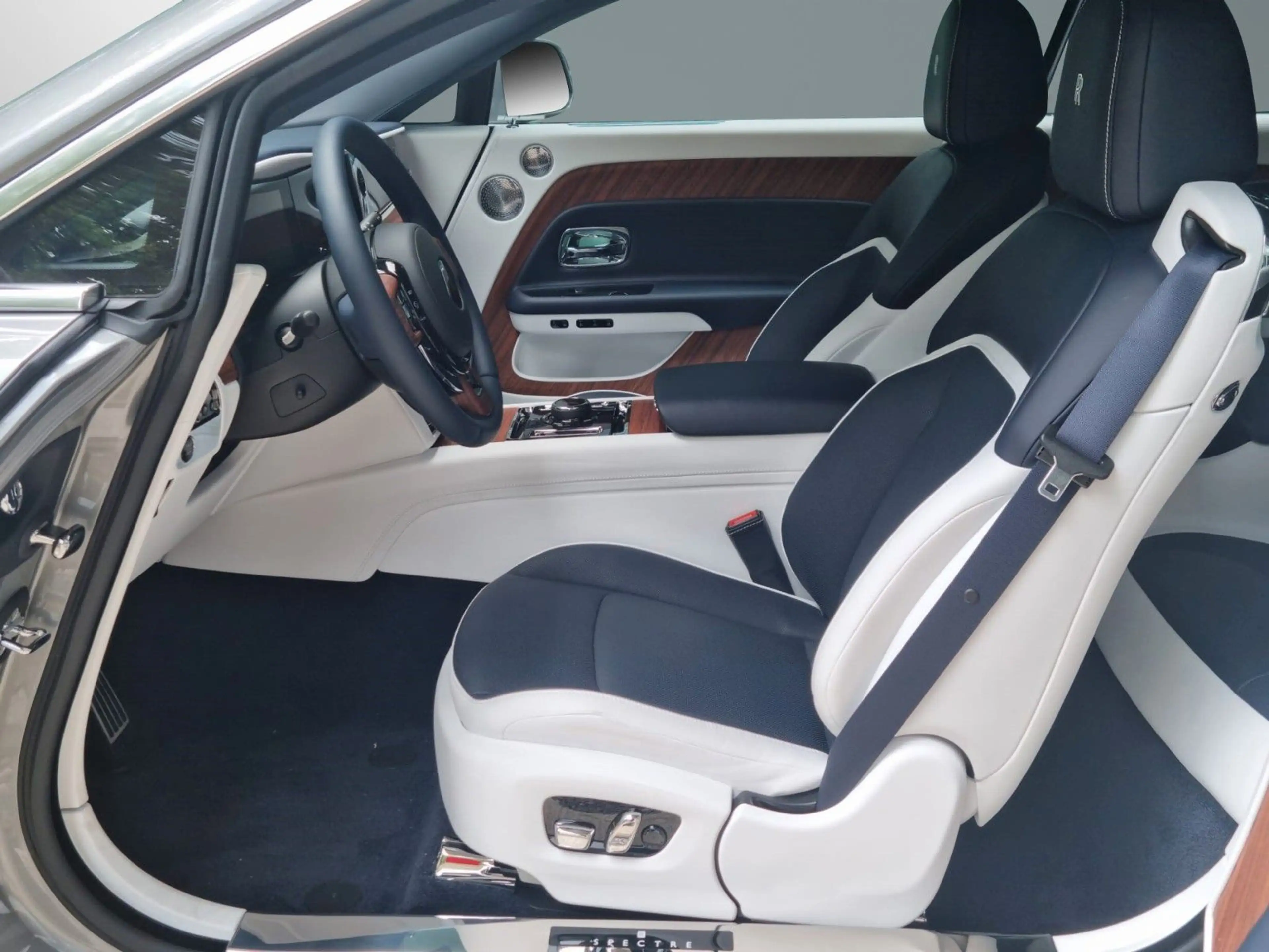 Rolls-Royce Spectre - Bespoke/Starlight/Shooting Star — photo 13