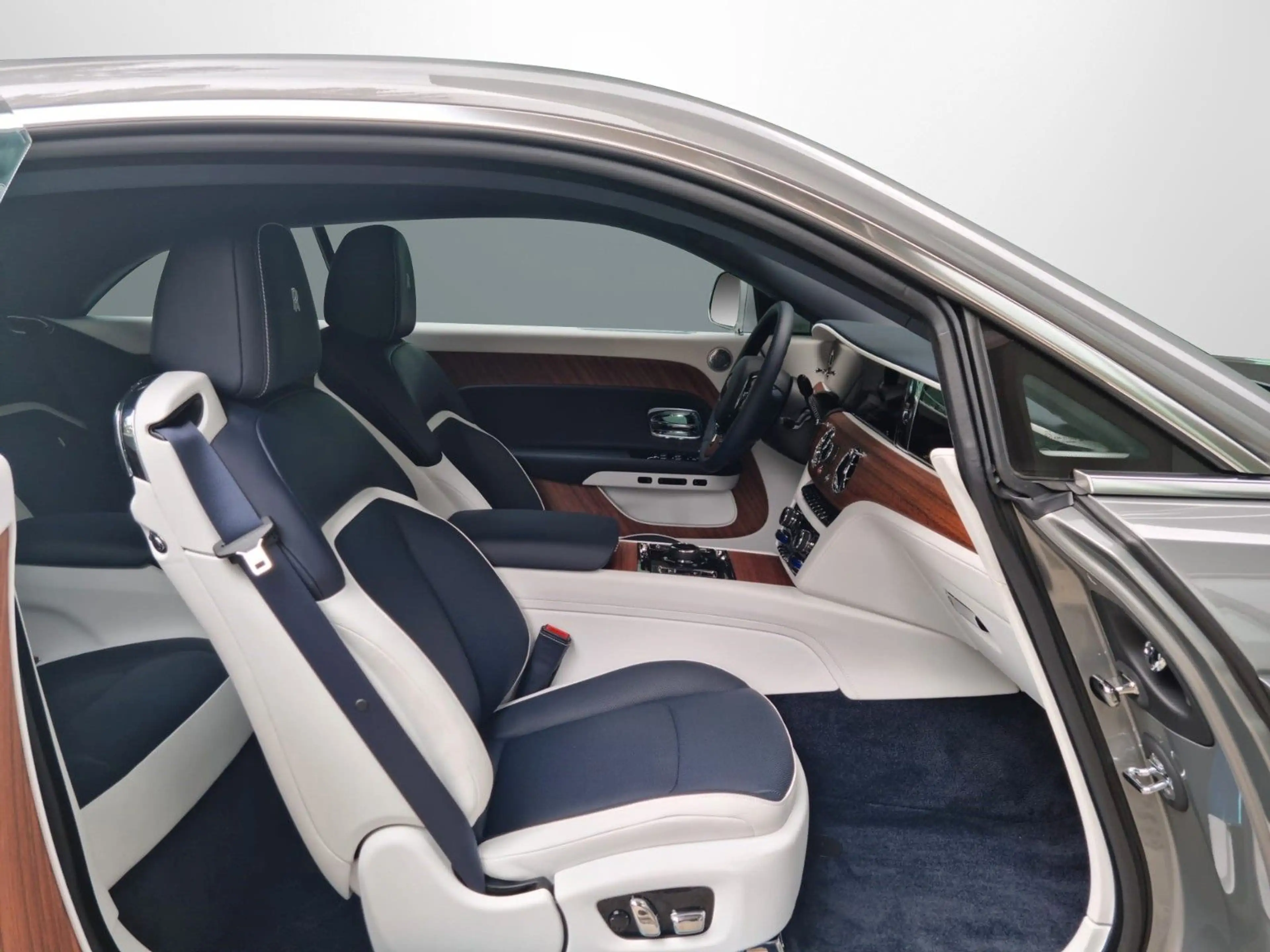 Rolls-Royce Spectre - Bespoke/Starlight/Shooting Star — photo 7