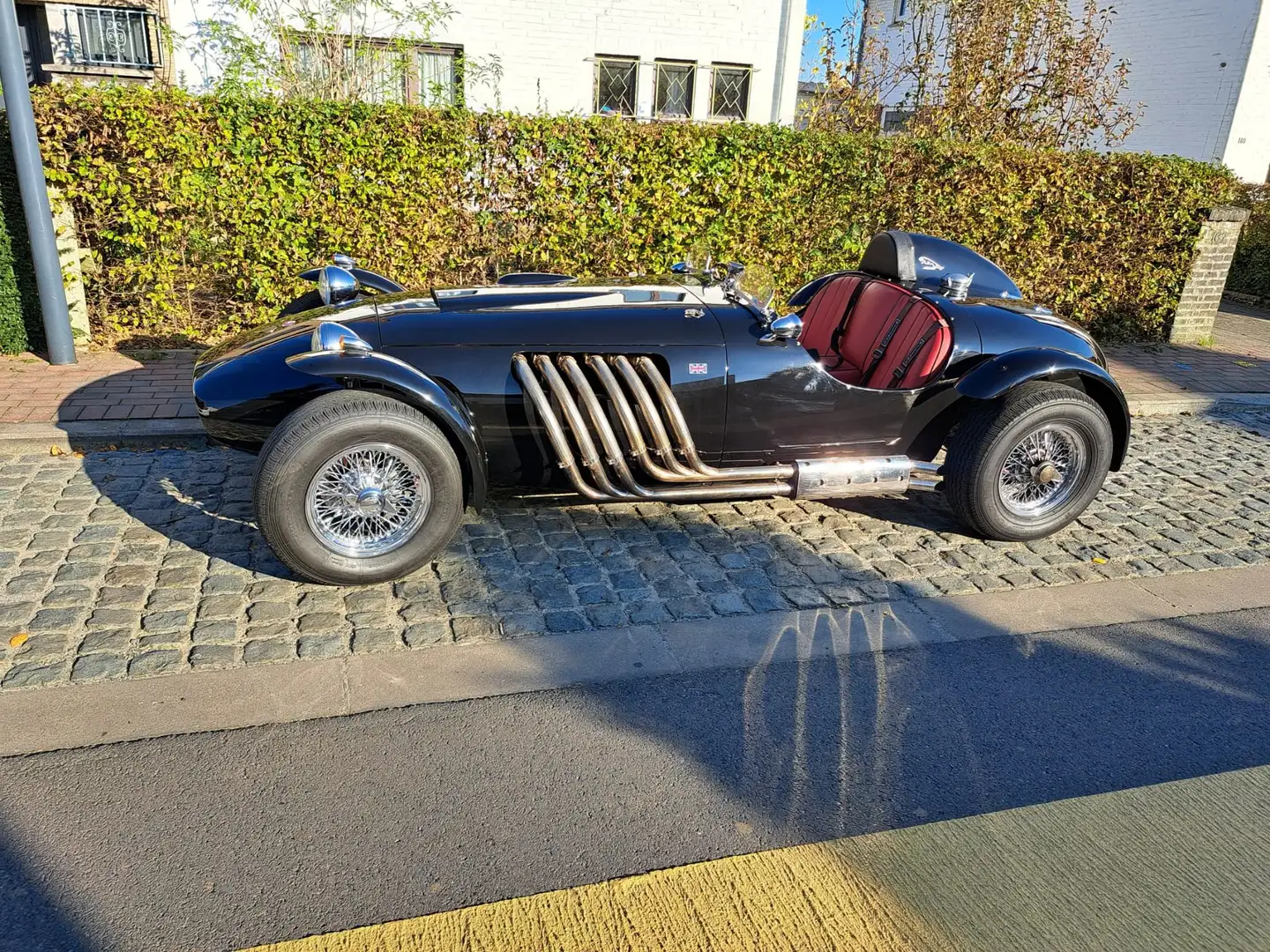 Jaguar Чорний - 2