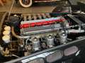 Jaguar Чорний - thumbnail 13