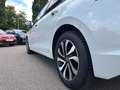 Volkswagen Golf VIII Active 1.0 TSI LED Kamera AppConnect Weiß - thumbnail 5