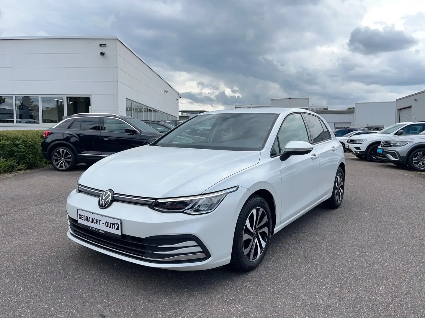 Volkswagen Golf VIII Active 1.0 TSI LED Kamera AppConnect Weiß - 1
