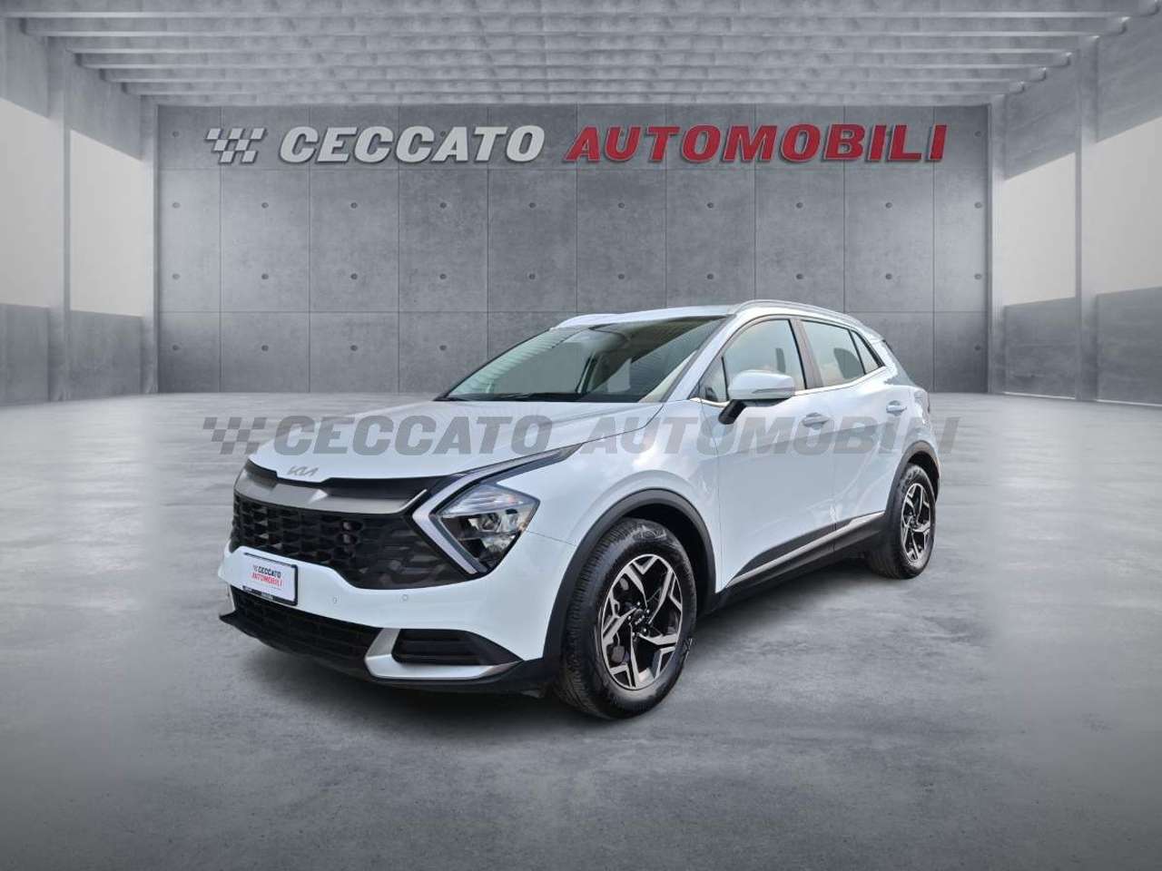 Kia Sportage Sportage 1.6 crdi mhev Business dct