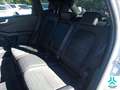Ford Kuga 2.0 EcoBlue ST-Line X AWD 190 Aut. Gris - thumbnail 9