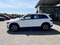 Mercedes-Benz GLB 180 GLB 180 d +LED+DAB+Tempomat+RüKa+CarPlay+Sitzhzg Blanc - thumbnail 8