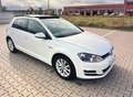Volkswagen Golf Golf 1.2 TSI BMT Edition 105 Edition Blanco - thumbnail 10
