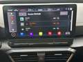 CUPRA Formentor 1.5 TSI DSG eHECK FaPa-XL NAVI Grau - thumbnail 26