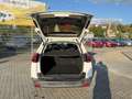 Peugeot 2008 Style 1.2 e-VTi Navi Zahnriemen+Service Neu Weiß - thumbnail 8