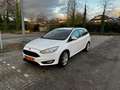 Ford Focus Focus 1.0 Lease Edition NWE MOTORBLOK Wit - thumbnail 2