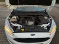 Ford Focus Focus 1.0 Lease Edition NWE MOTORBLOK Wit - thumbnail 14