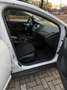 Ford Focus Focus 1.0 Lease Edition NWE MOTORBLOK Wit - thumbnail 17