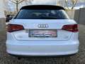 Audi A3 1.6 TDi Attraction NAVI/PDC/TEL BT/EXPORT/TVA 21% Blanco - thumbnail 20