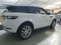 Land Rover Range Rover Evoque Range Rover Evoque 2.0 HSE Dynamic 180cv auto my19 - thumbnail 4