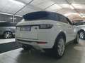 Land Rover Range Rover Evoque Range Rover Evoque 2.0 HSE Dynamic 180cv auto my19 - thumbnail 7