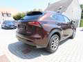 Lexus NX 300h 2.5i AWD Executive Line E-CVT 13900eur+BTW/TVA Brown - thumbnail 9