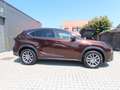Lexus NX 300h 2.5i AWD Executive Line E-CVT 13900eur+BTW/TVA Brun - thumbnail 2