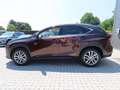 Lexus NX 300h 2.5i AWD Executive Line E-CVT 13900eur+BTW/TVA Brun - thumbnail 13