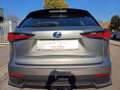 Lexus NX 300 Hybrid Business Unico Proprietario Cronologia Tagl Gris - thumbnail 4