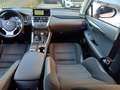 Lexus NX 300 Hybrid Business Unico Proprietario Cronologia Tagl Gris - thumbnail 12