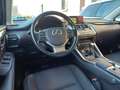 Lexus NX 300 Hybrid Business Unico Proprietario Cronologia Tagl Gris - thumbnail 15