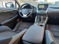 Lexus NX 300 Hybrid Business Unico Proprietario Cronologia Tagl Gris - thumbnail 13