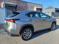 Lexus NX 300 Hybrid Business Unico Proprietario Cronologia Tagl Gris - thumbnail 3